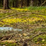 Controls on anti-social behaviour to remain in&hellip;