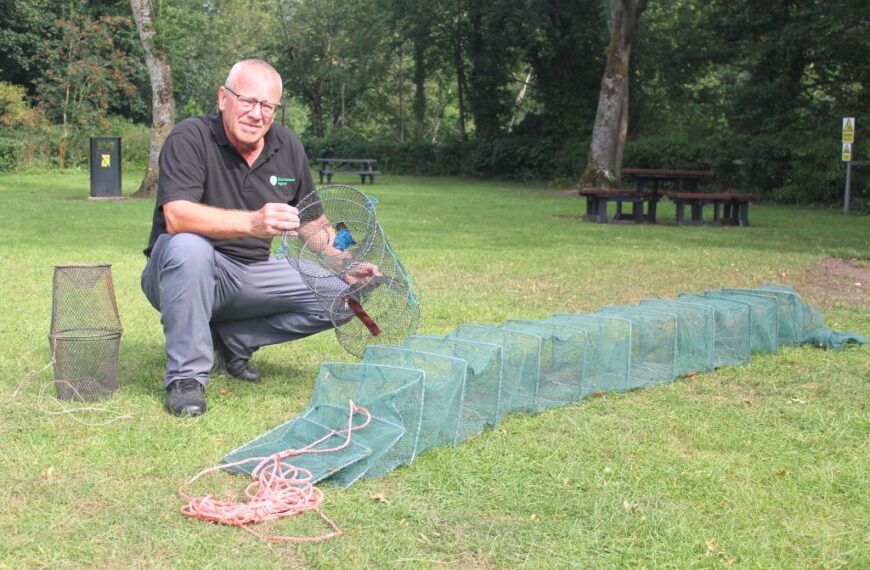 Poachers target River Tees – people urged to stay alert
