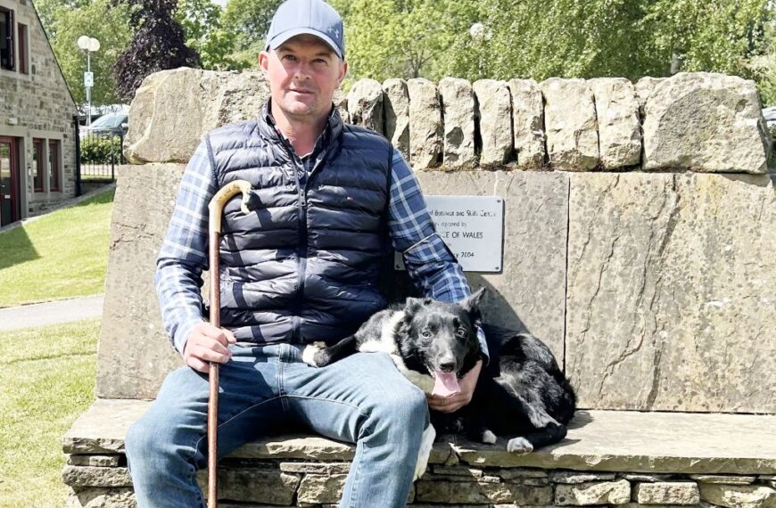Sheepdog sells for record price at Skipton
