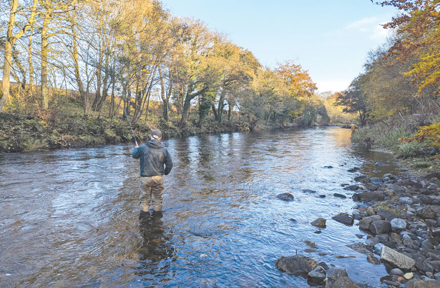 We need to talk about predation of salmon