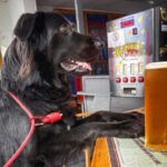 Bob helps break the ice for rough&hellip;