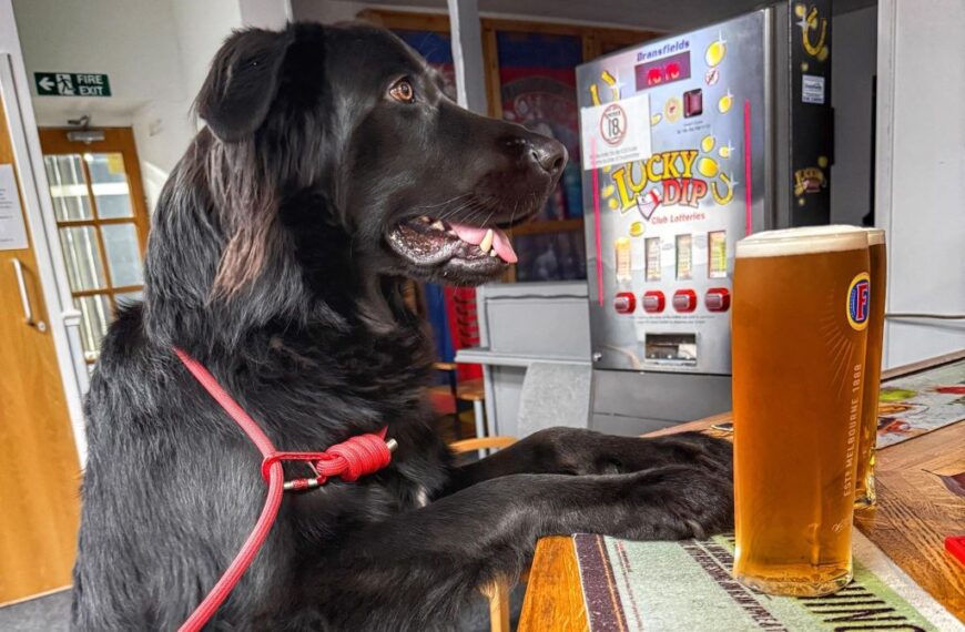 Bob helps break the ice for rough sleepers