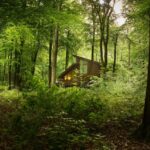 Protestors vow to keep fighting Hamsterley Forest&hellip;