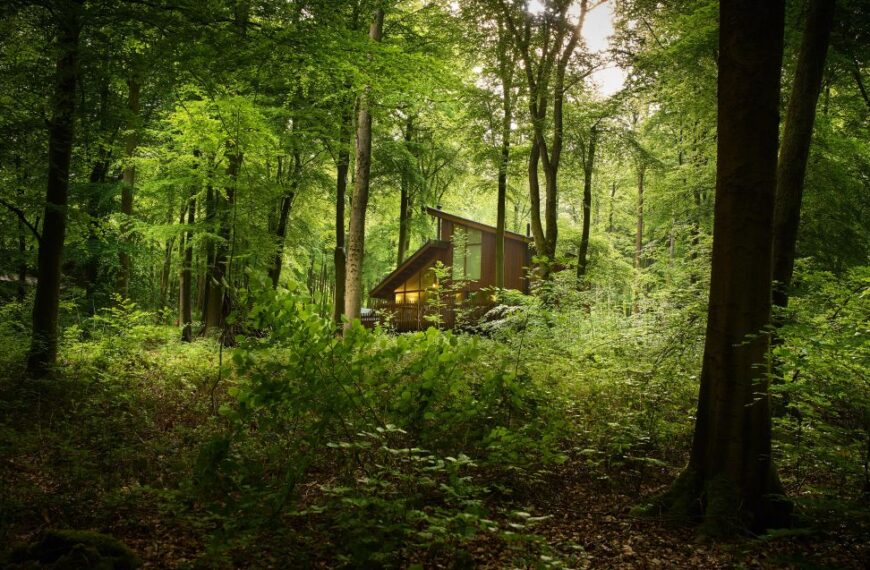 Protestors vow to keep fighting Hamsterley Forest tourist plan