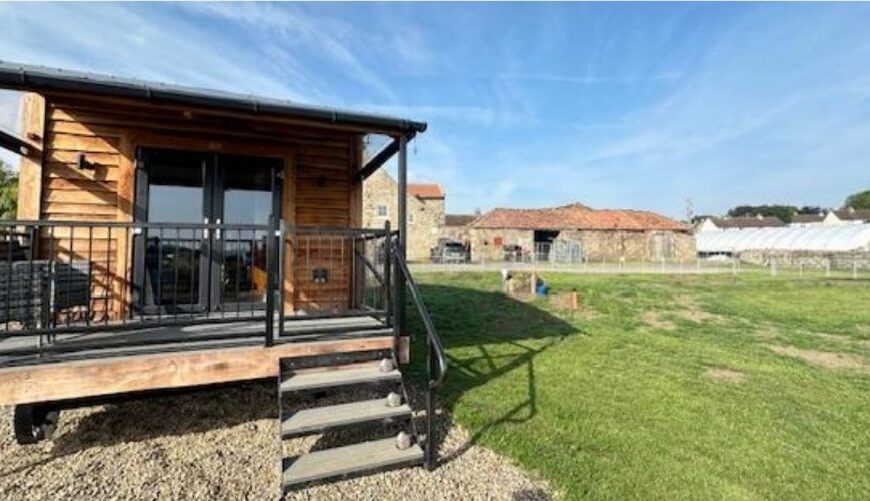 Shepherd’s hut and polytunnel may have destroyed evidence of historic moat