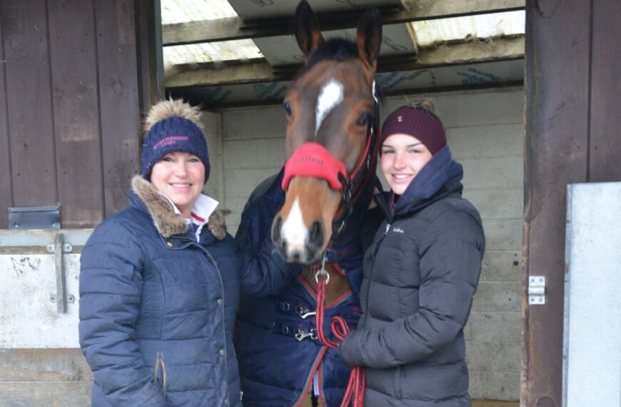 Plea for drivers to slow down when passing horses