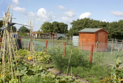 Allotment rules set to become more flexible