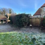 Human error to blame for controversial tree&hellip;