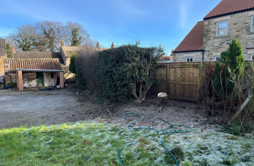 Human error to blame for controversial tree felling